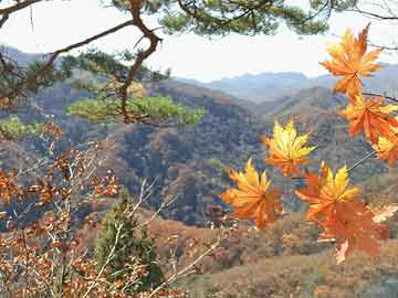 河谷村的神秘痕迹